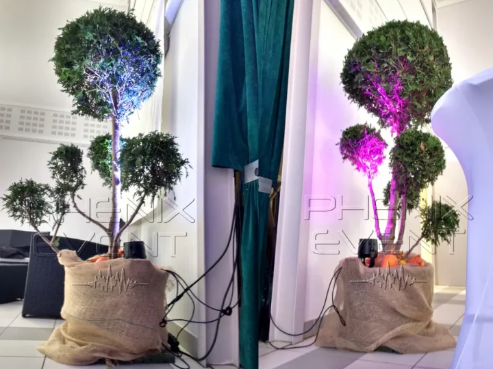 deux projecteurs illuminent les arbustes décoratifs placés aux extrémités de la scène lors du mariage (photomontage)