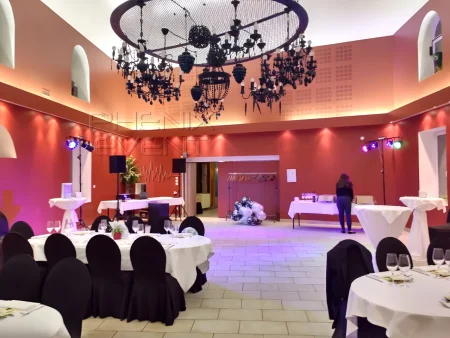 Son et lumière pour un anniversaire à la Ferme Sainte Geneviève de Dommartemont