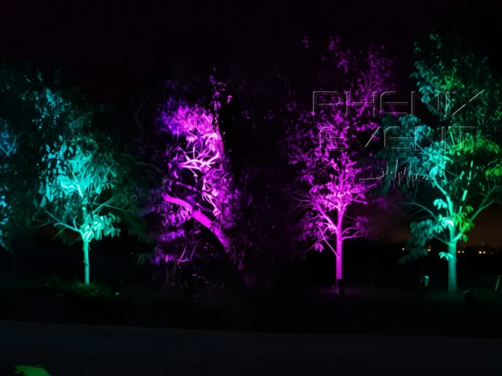 Arbustes du jardin illuminés en violet et vert avec les projecteurs Led au sol