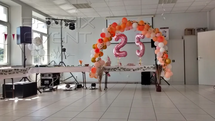 Installation sono 1500w et jeux de lumière Pack Fête1 pour un anniversaire dans la salle de Viller