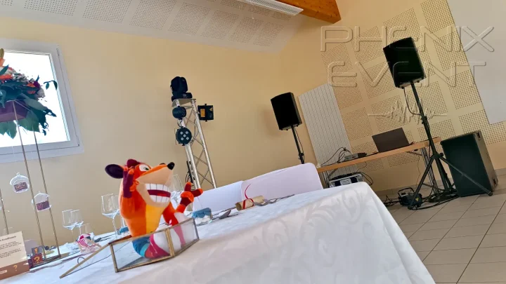 Jeux de lumière sur totem alu et sono 1500w Phenix Event installés, peluche Crash Bandicoot sur la table décorée