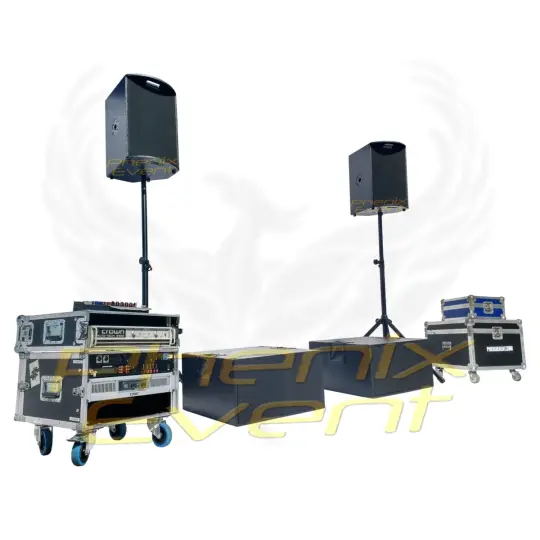Pack Sono 2000w professionnel composé de deux enceintes 12 pouces 500w sur trépieds et deux caissons de basses 500w