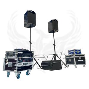 Sono 800w RMS 10x110t Phenix Event, en location
