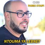 pochette de l'album ntouma ya lebnet par cheb fares staifi